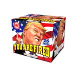 you_fired